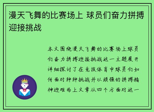 漫天飞舞的比赛场上 球员们奋力拼搏迎接挑战 漫天飞舞的比赛场上 球员们奋力拼搏迎接挑战