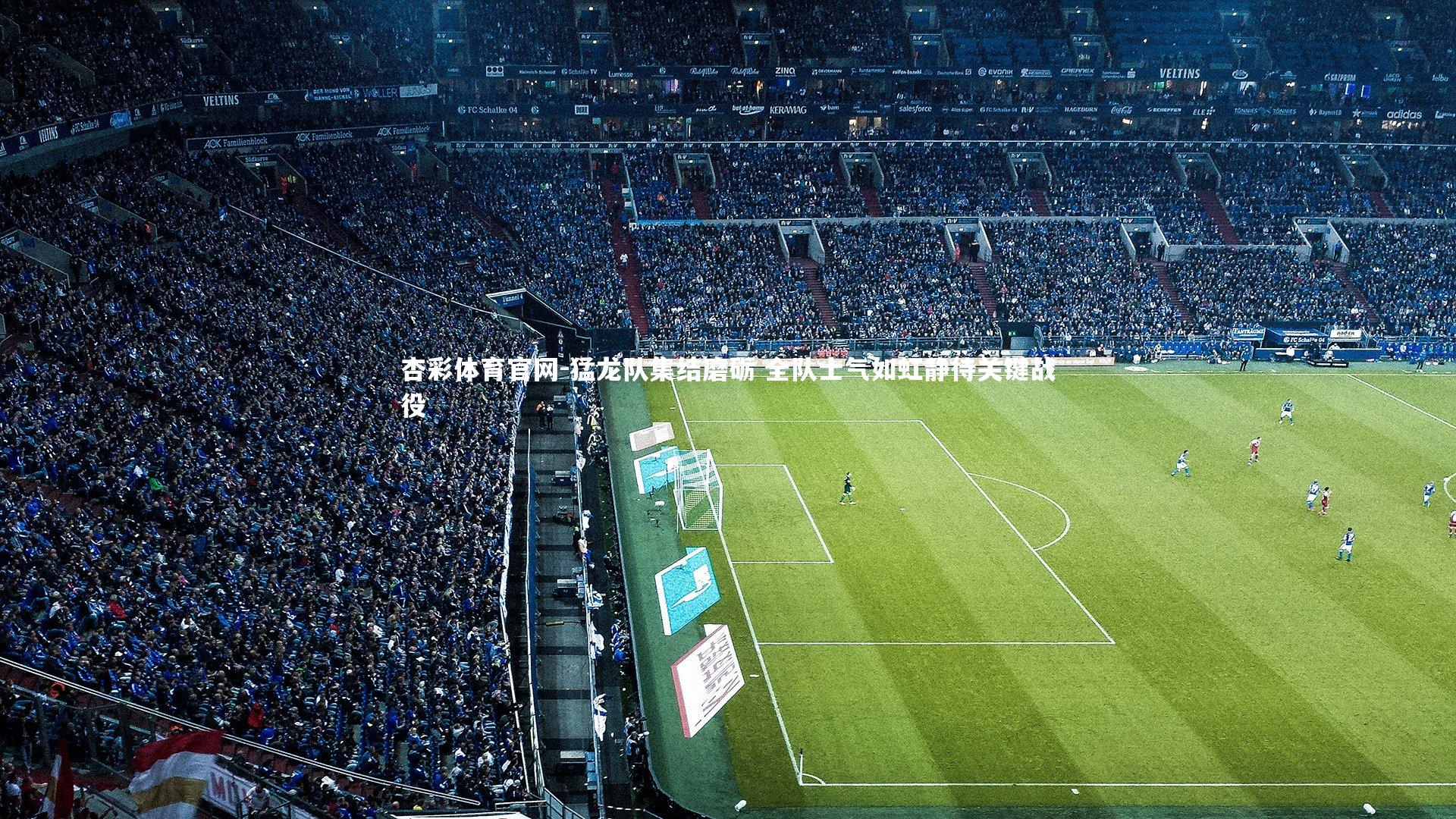 猛龙队集结磨砺 全队士气如虹静待关键战役