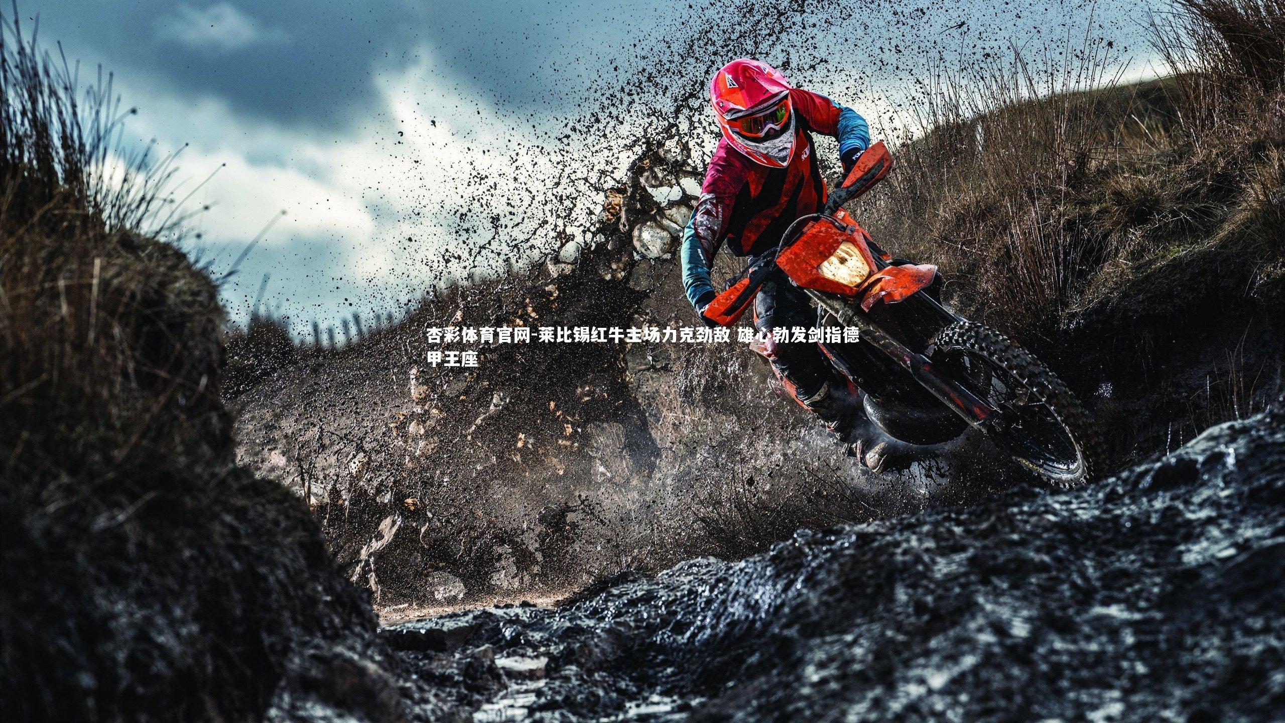 莱比锡红牛主场力克劲敌 雄心勃发剑指德甲王座